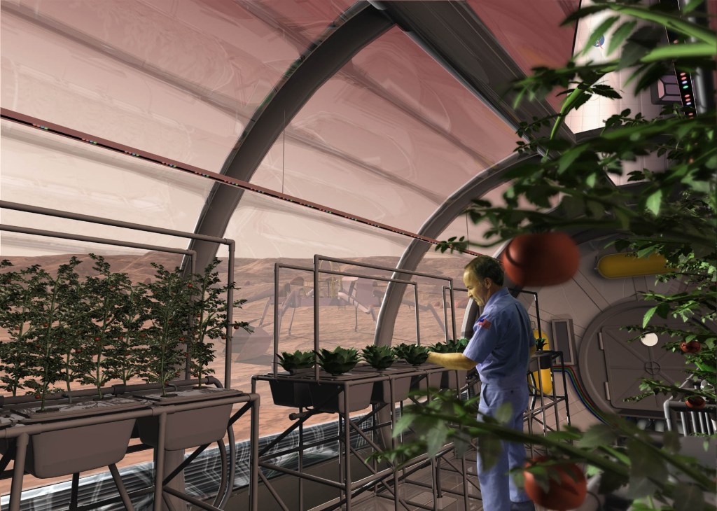 
			NASA Plant Researchers Explore Question of Deep-Space Food Crops			