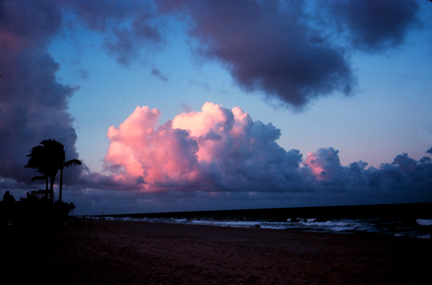 Cumulus clouds over the Atlantic Ocean