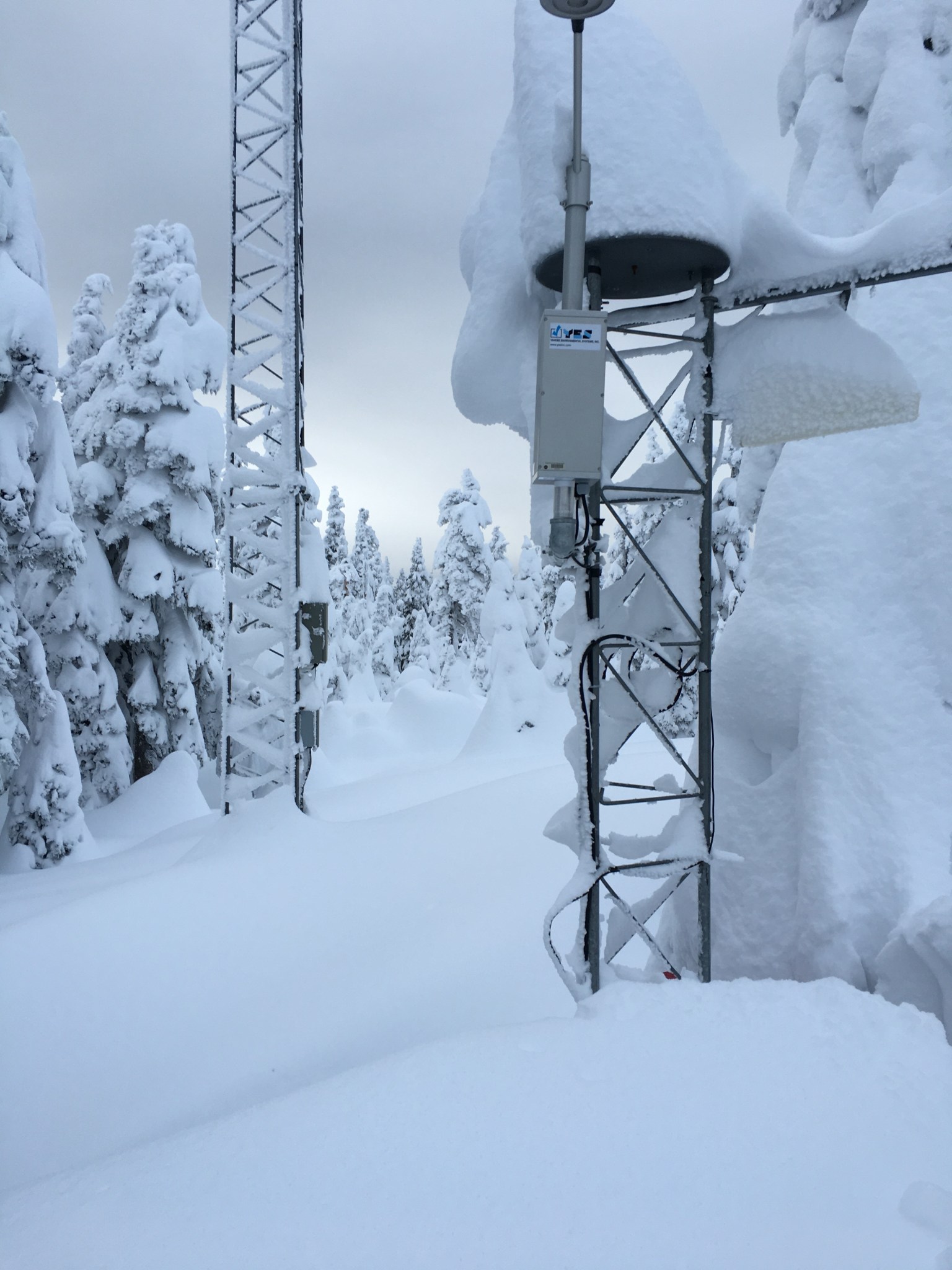 Fresh snow covers an OLYMPEX instrument tower at a measurement site in the Olympic Mountains. 