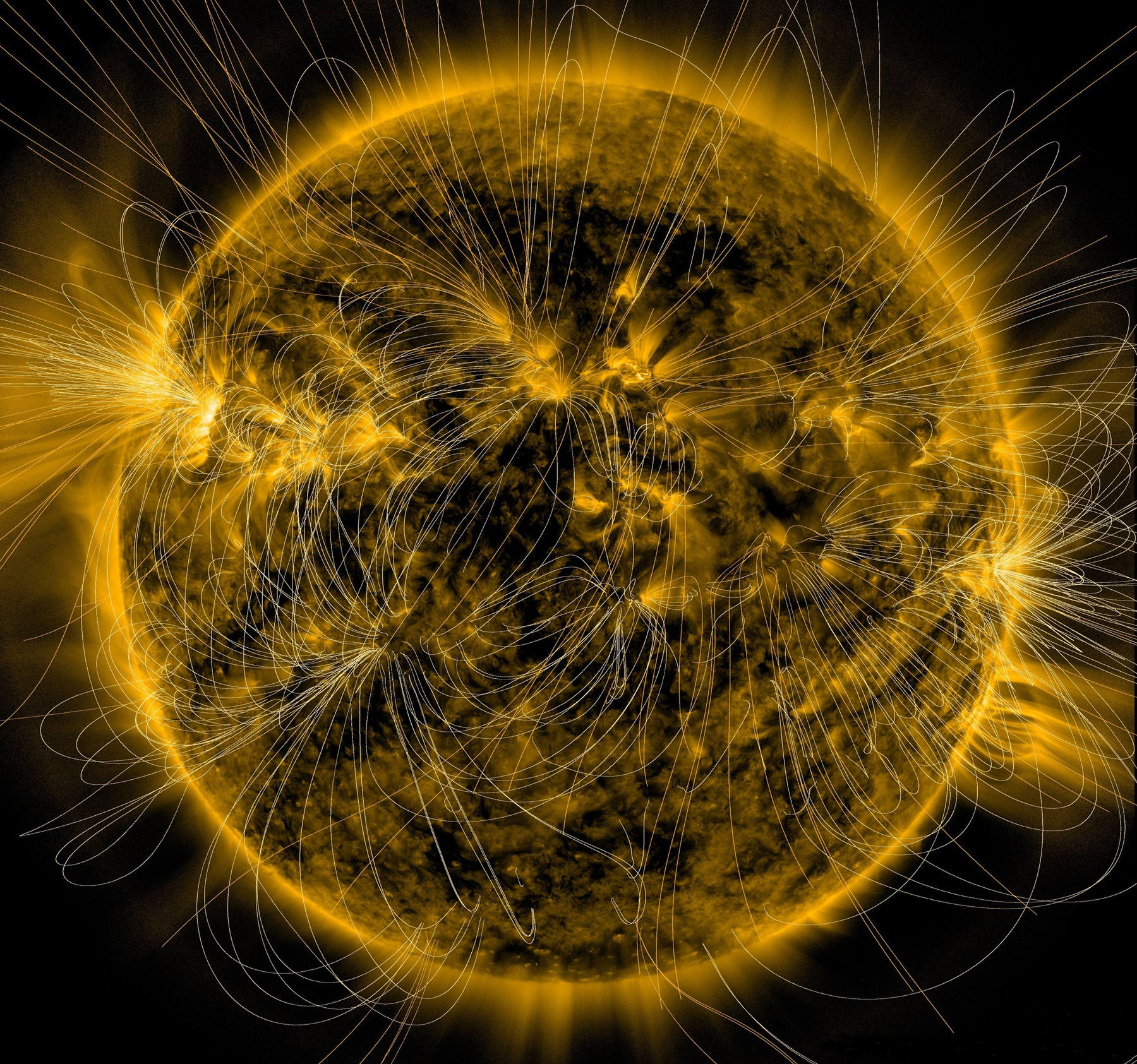 SDO image of sun superimposed with an illustration of magnetic field lines