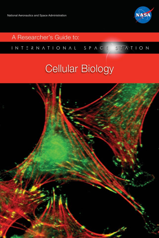 A Researcher's Guide to: Cellular Biology