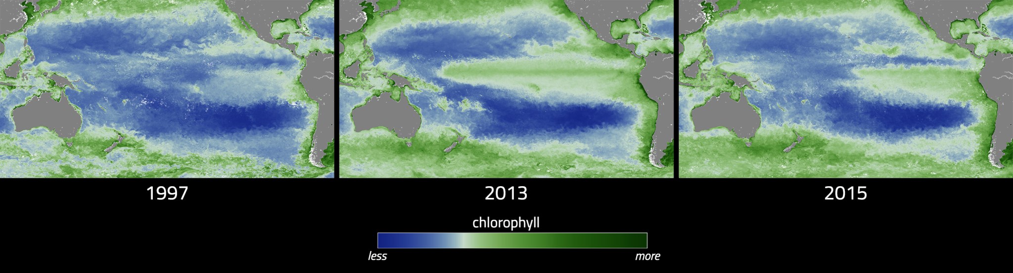 Three images Pacific ocean mapped by clorophyl in blue and green