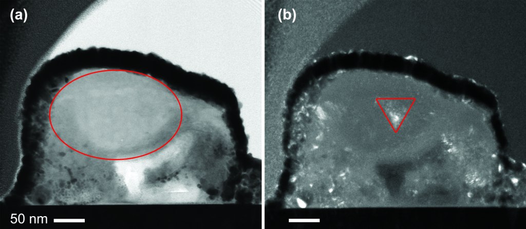 Silicate Stardust Traces Histories of Dust in the Galaxy