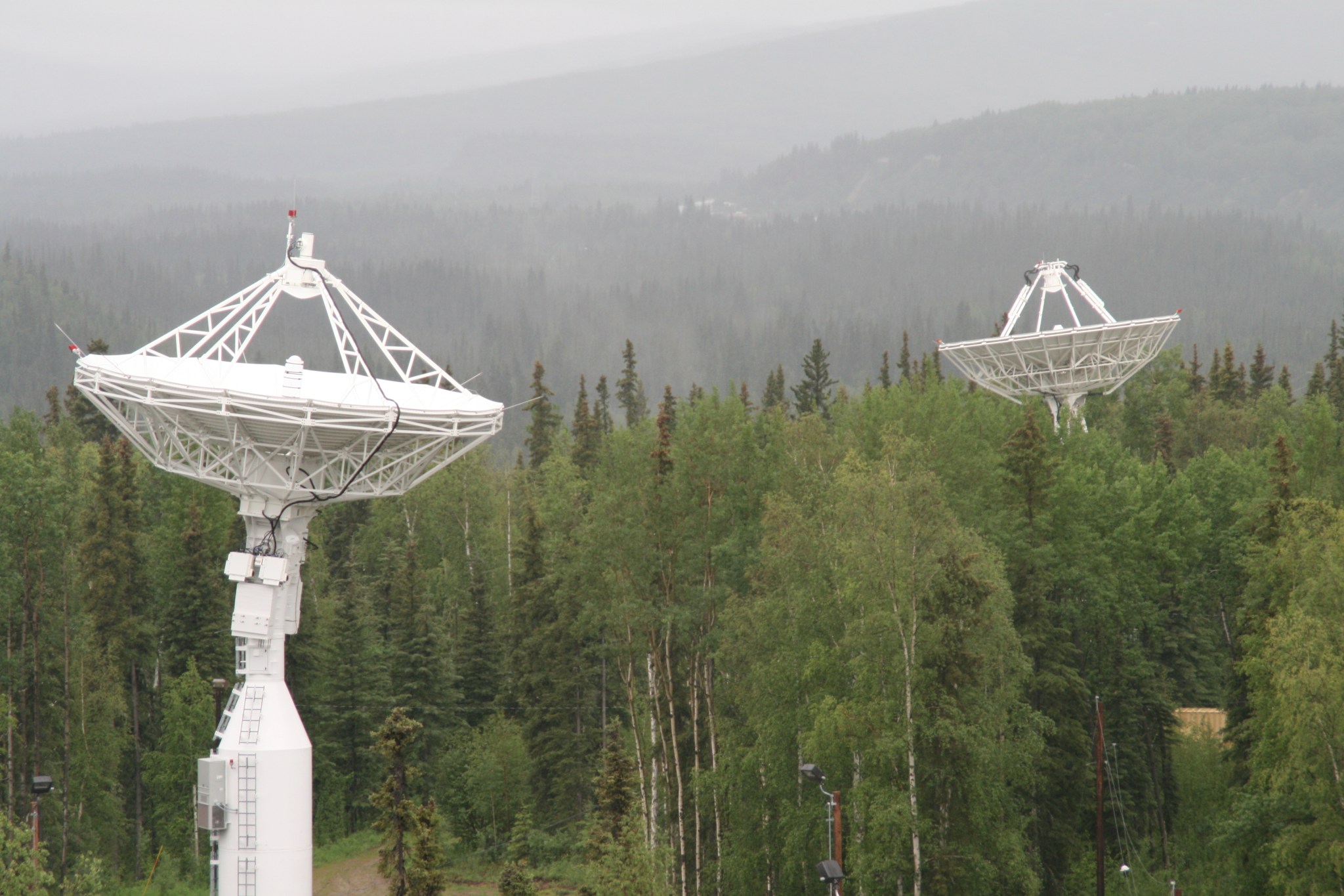 NASA's newest antenna AS-3 in the foreground and AS-1 in the background surrounded by trees. Antennas are larger than the surrounding trees. 