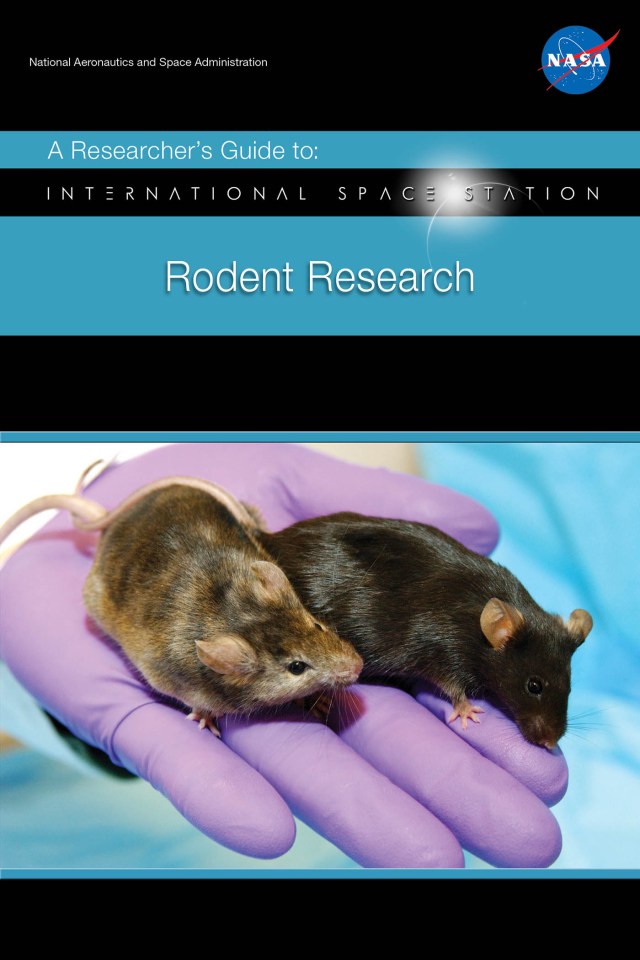 A Researcher’s Guide to: Rodent Research