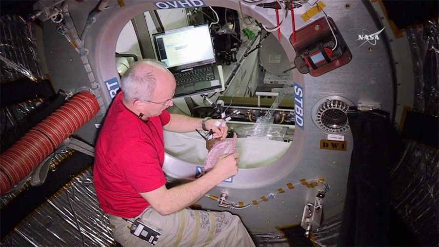 Astronaut Jeff Williams