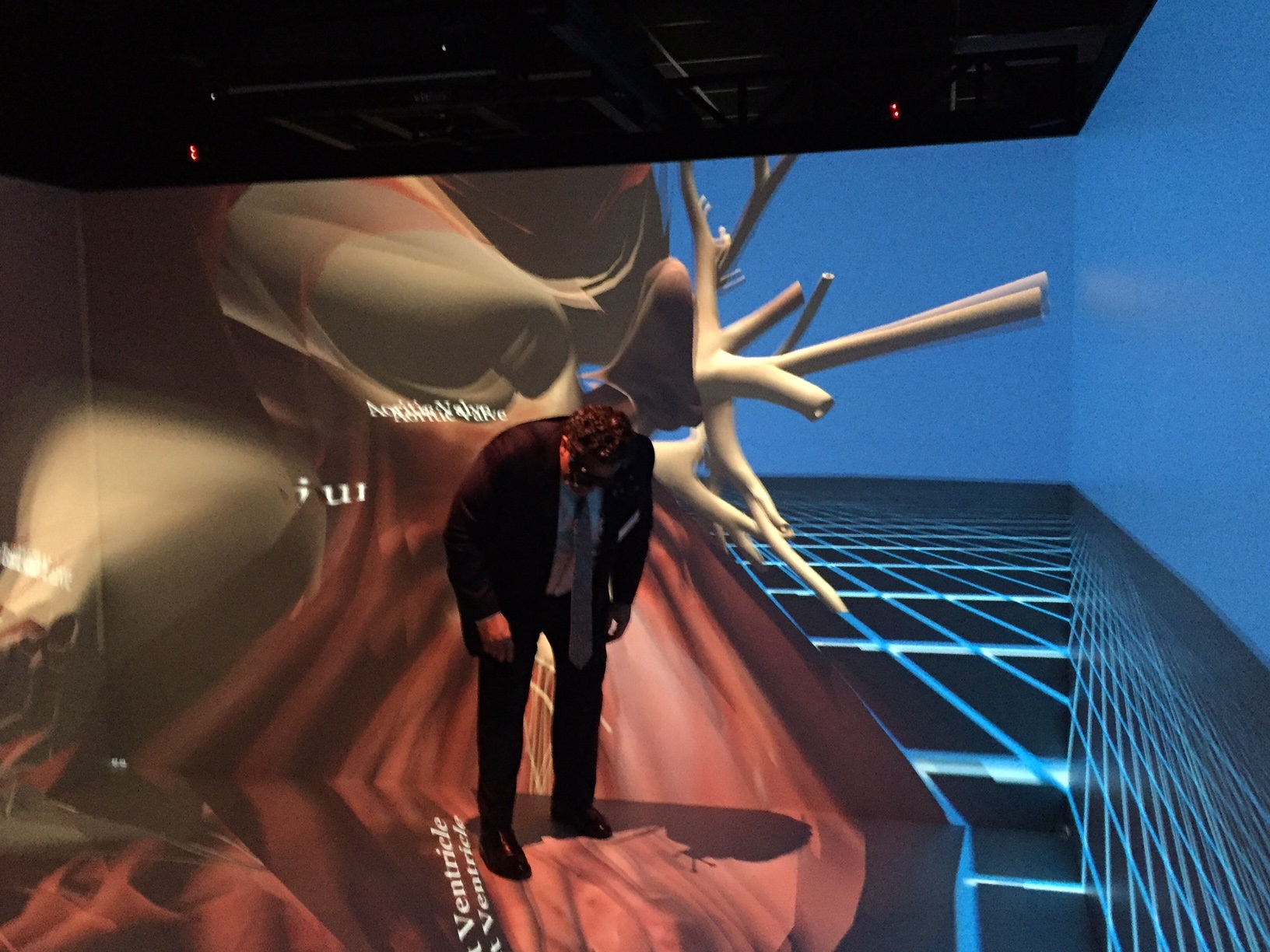 Todd May explores a diseased human heart via the iCUBE virtual-reality teaching unit in the university's MakerSpace laboratory