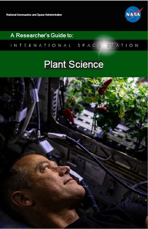 image of an astronaut observing chile pepper plants growing in a plant habitat in the space station