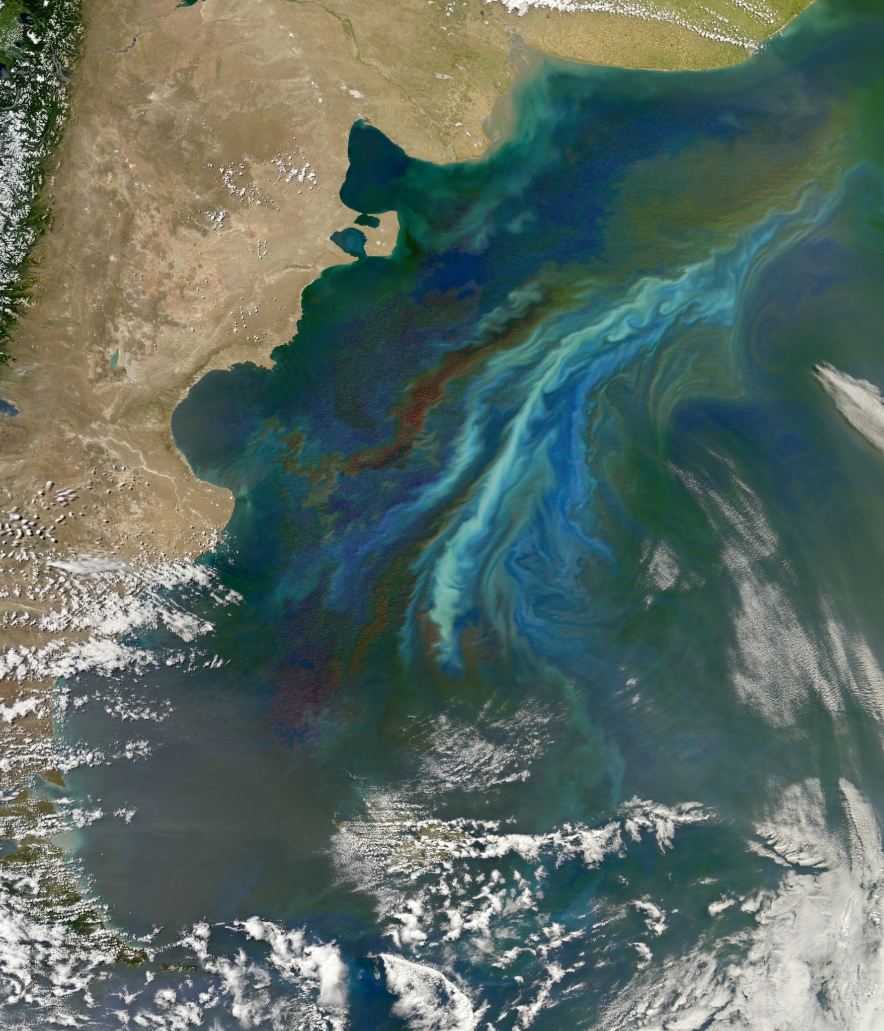 satellite view of ocean with plankton swirls