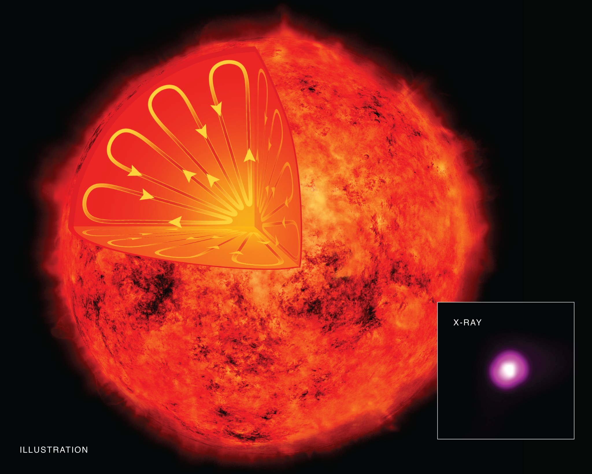 An artist's illustration depicts the interior of a low-mass star, such as GJ 3253.
