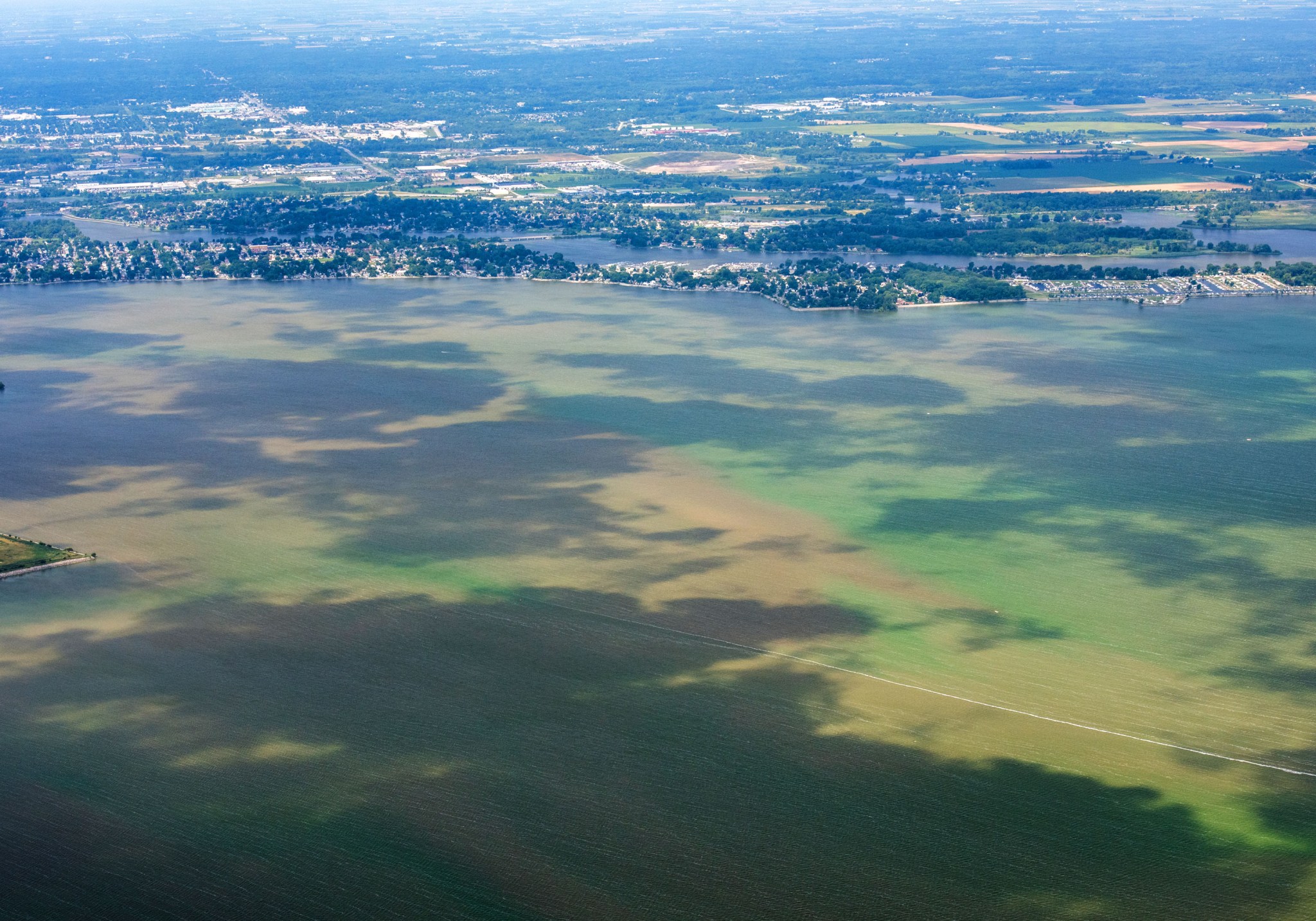 algal blooms