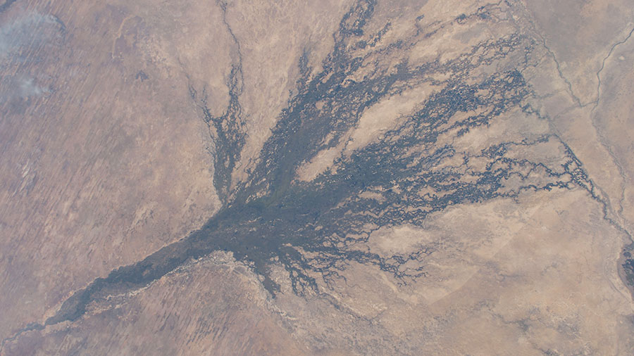 Okavanga Delta