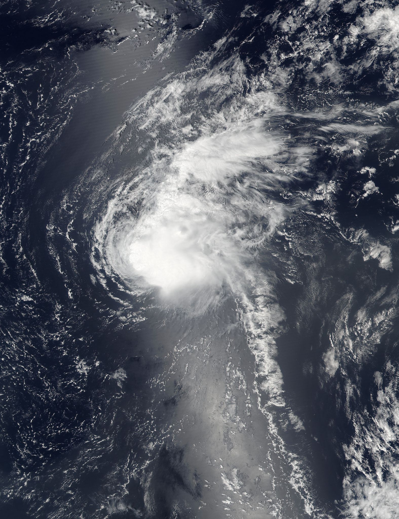 Suomi NPP image of Fiona