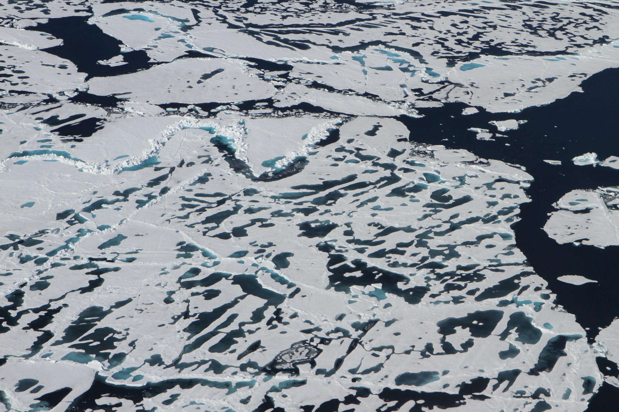 aerial view of sea ice with black gaps