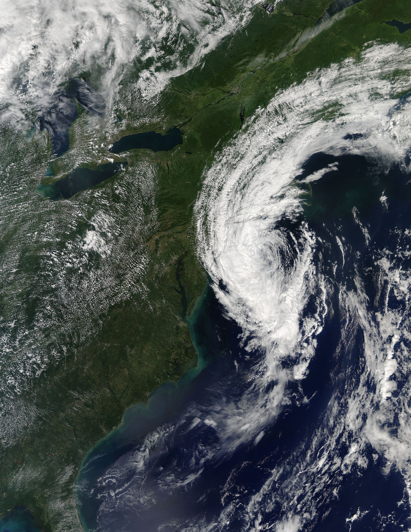 Aqua image of Hermine