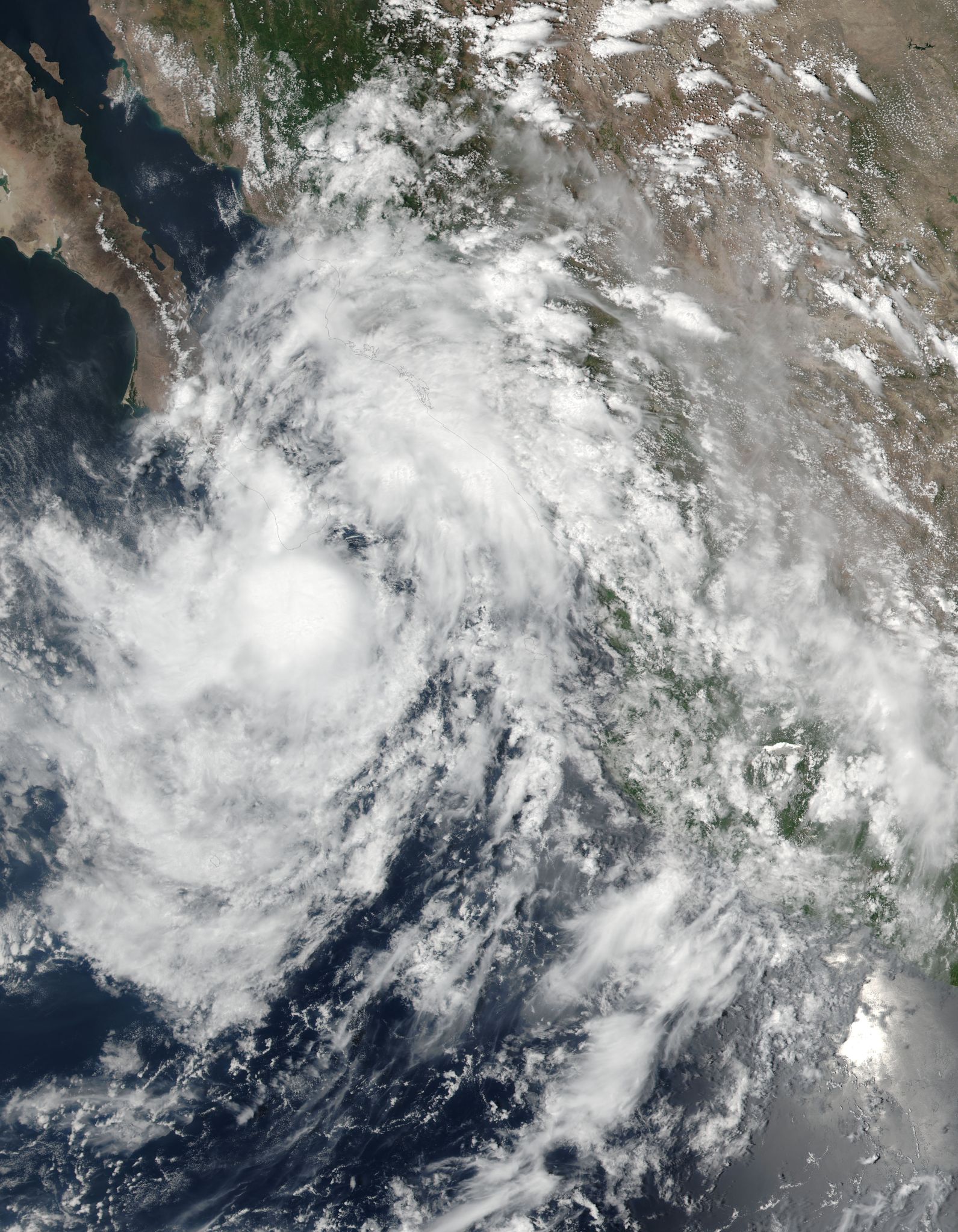 Visible light image of Tropical Storm Javier