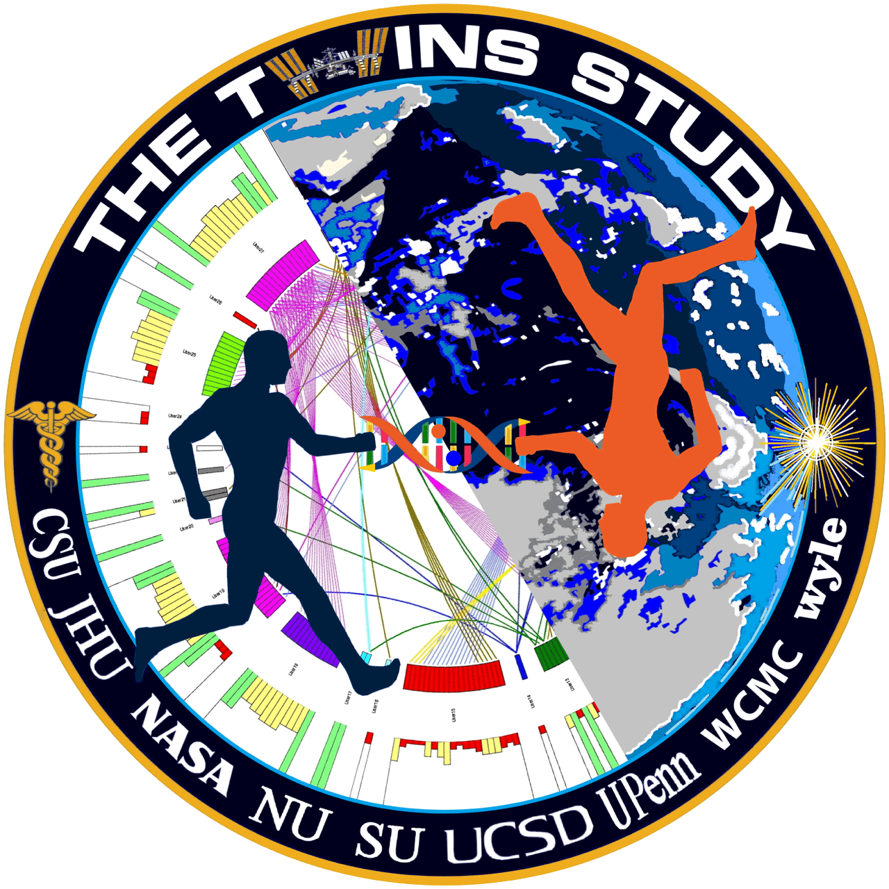 NASA's Twins Study Patch