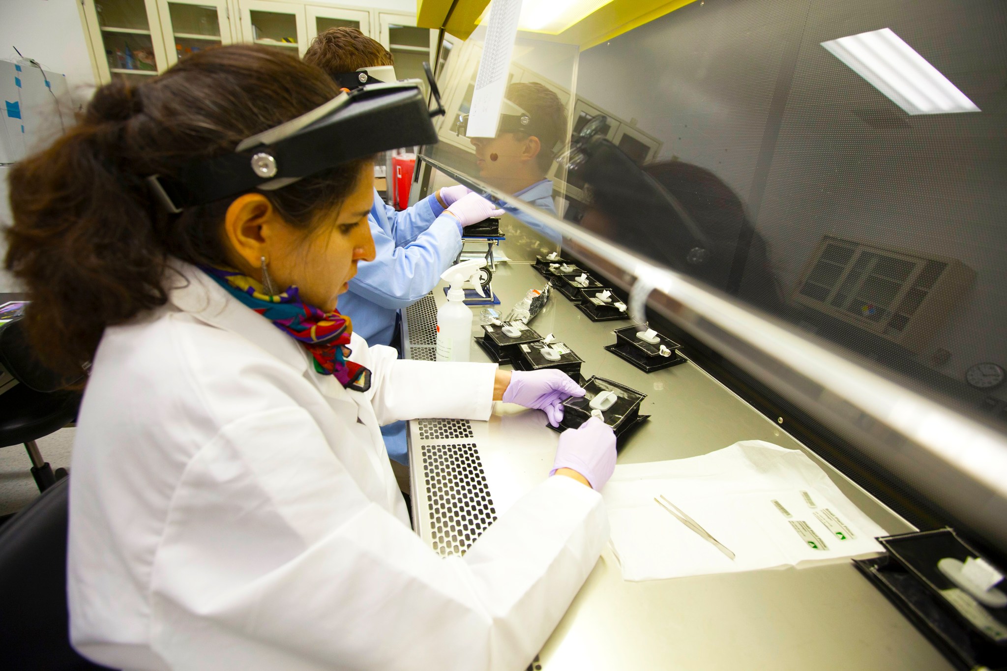 Dr. Gioia Massa in laboratory