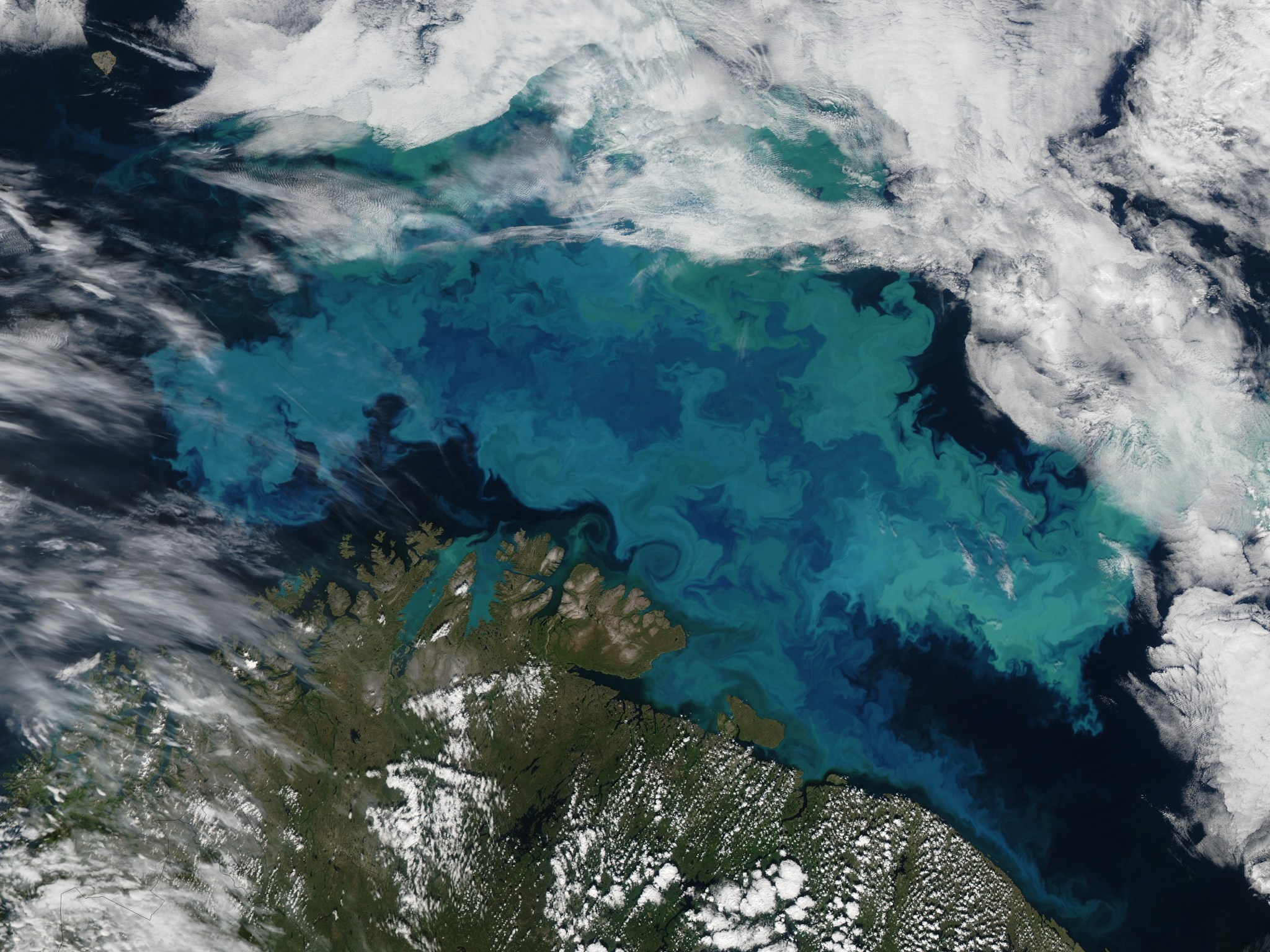 satellite view of ocean with plankton swirls