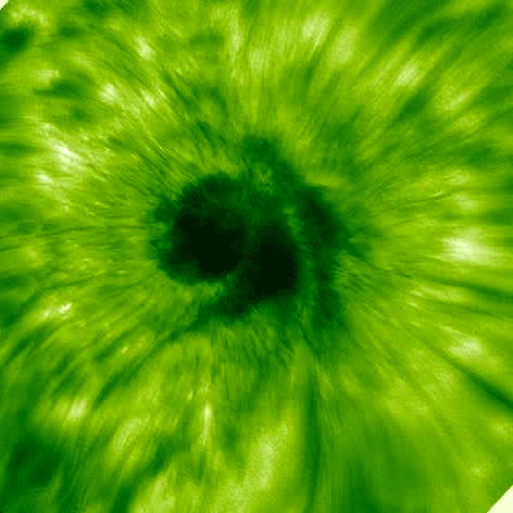 Moving image of sunspot in green