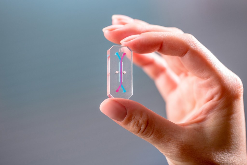 One of Emulate’s Organ-Chip devices.