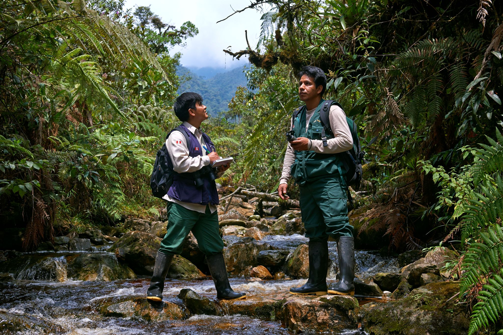 Peruvian Park Rangers.