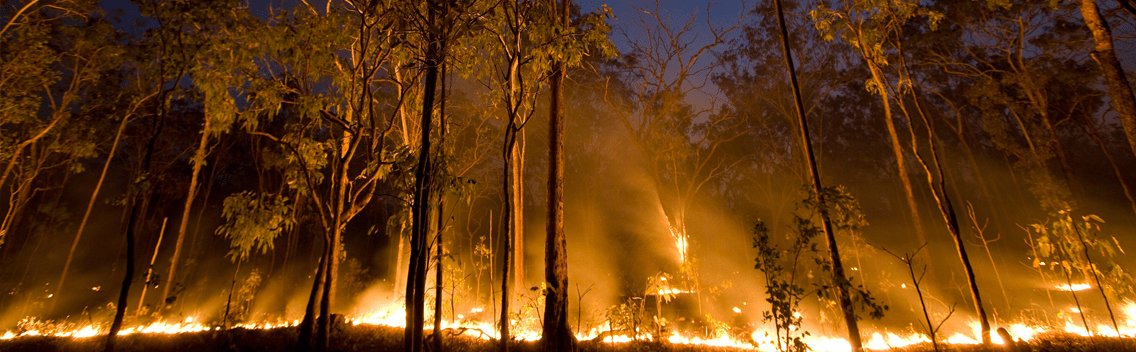 Wooded area on fire.