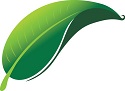 Sustainability Leaf