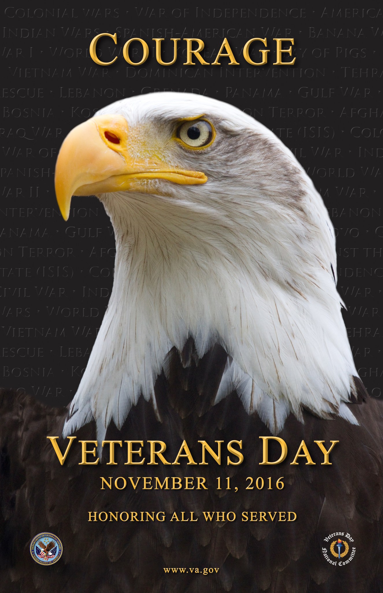 2016 Veteran's Day graphic