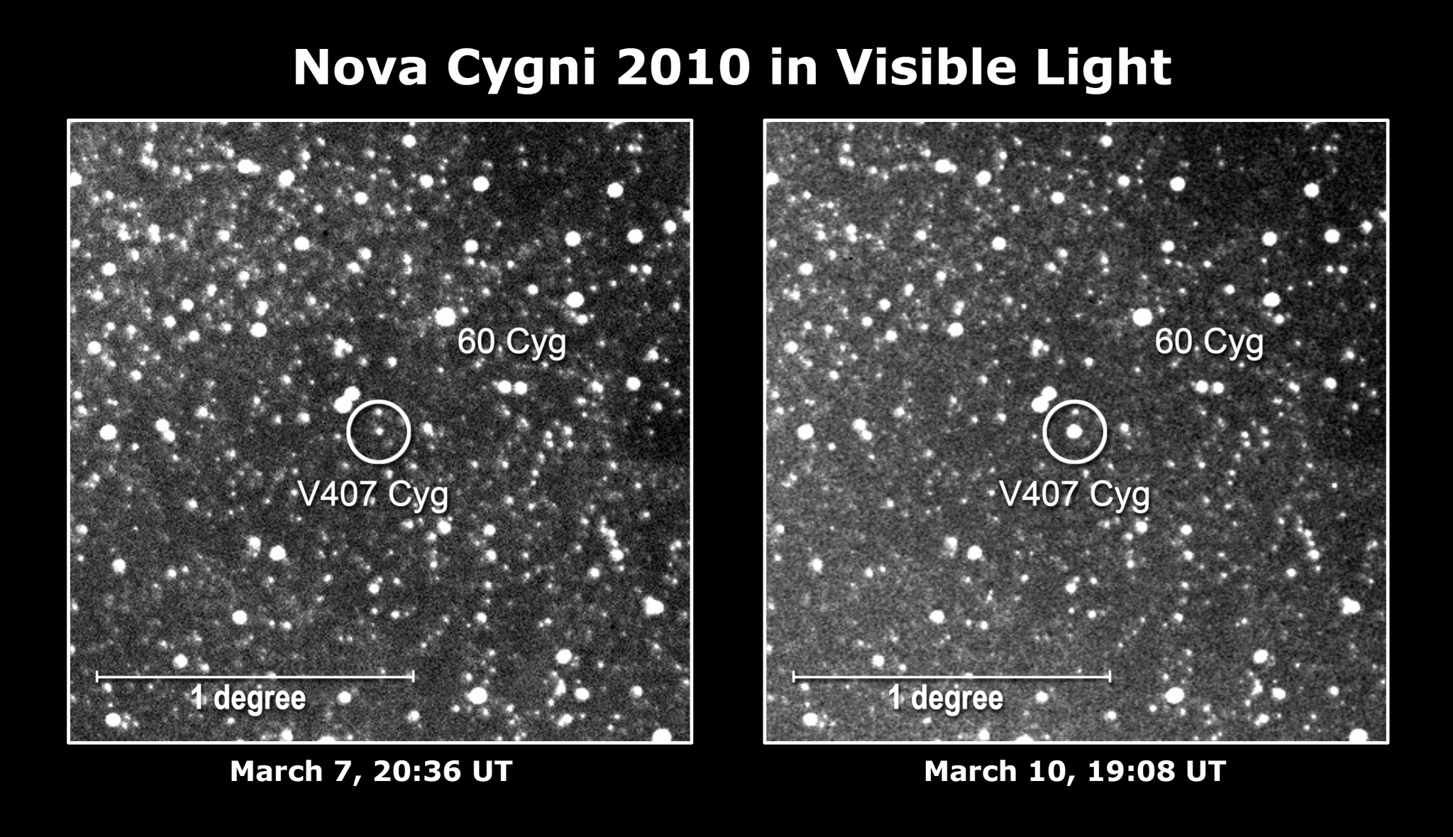 Nova Cygni 2010 observations