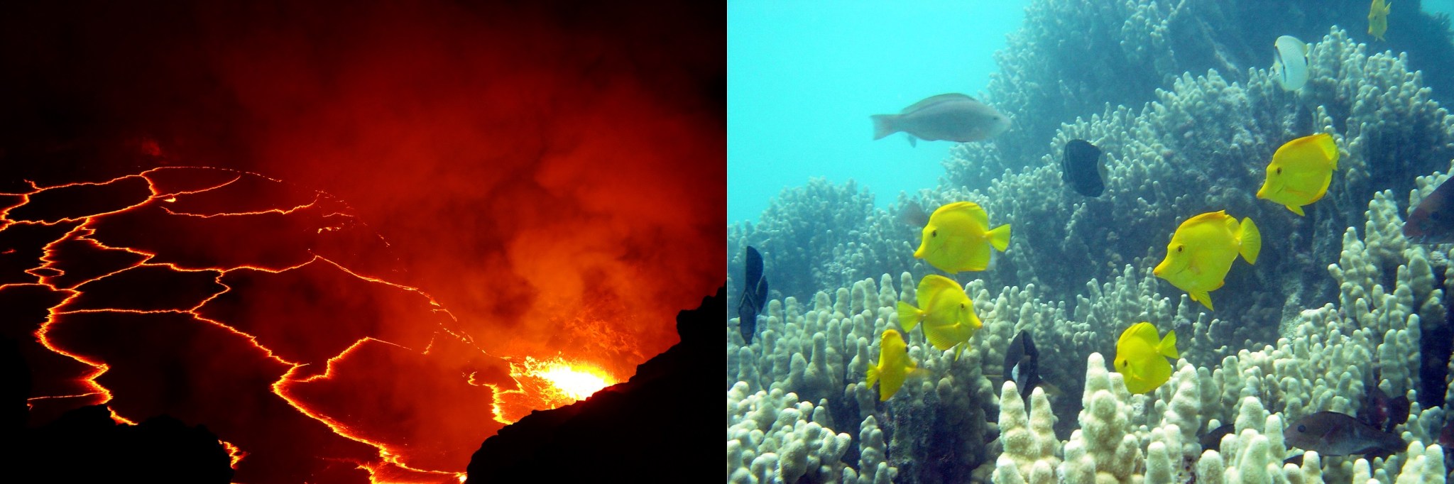 In February 2017, scientists begin collecting data on coral reef health and volcanic emissions and eruptions in Hawaii.