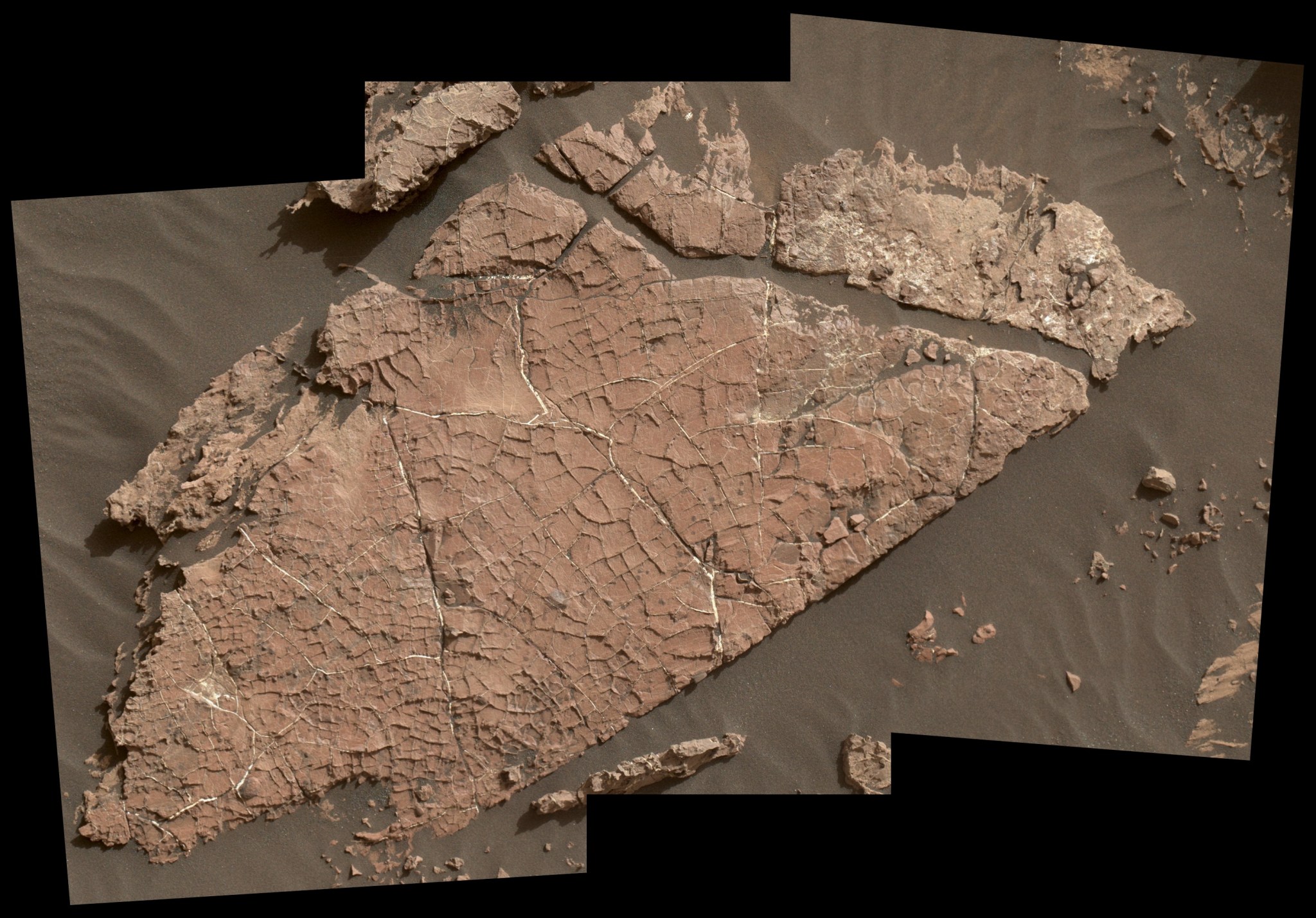 Possible Mud Cracks Preserved in Martian Rock