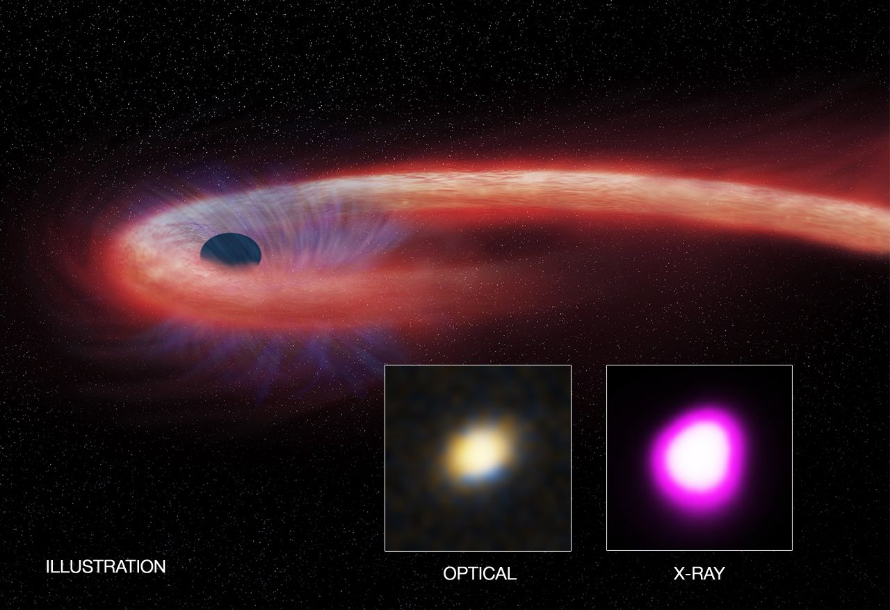 Artist’s illustration depicts what astronomers call a “tidal disruption event,” or TDE. 