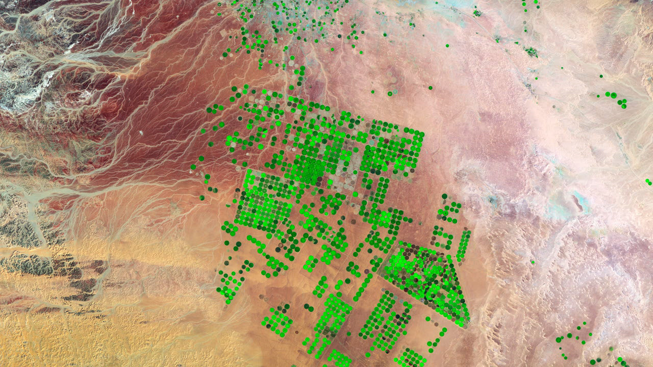 satellite image of desert with green dots