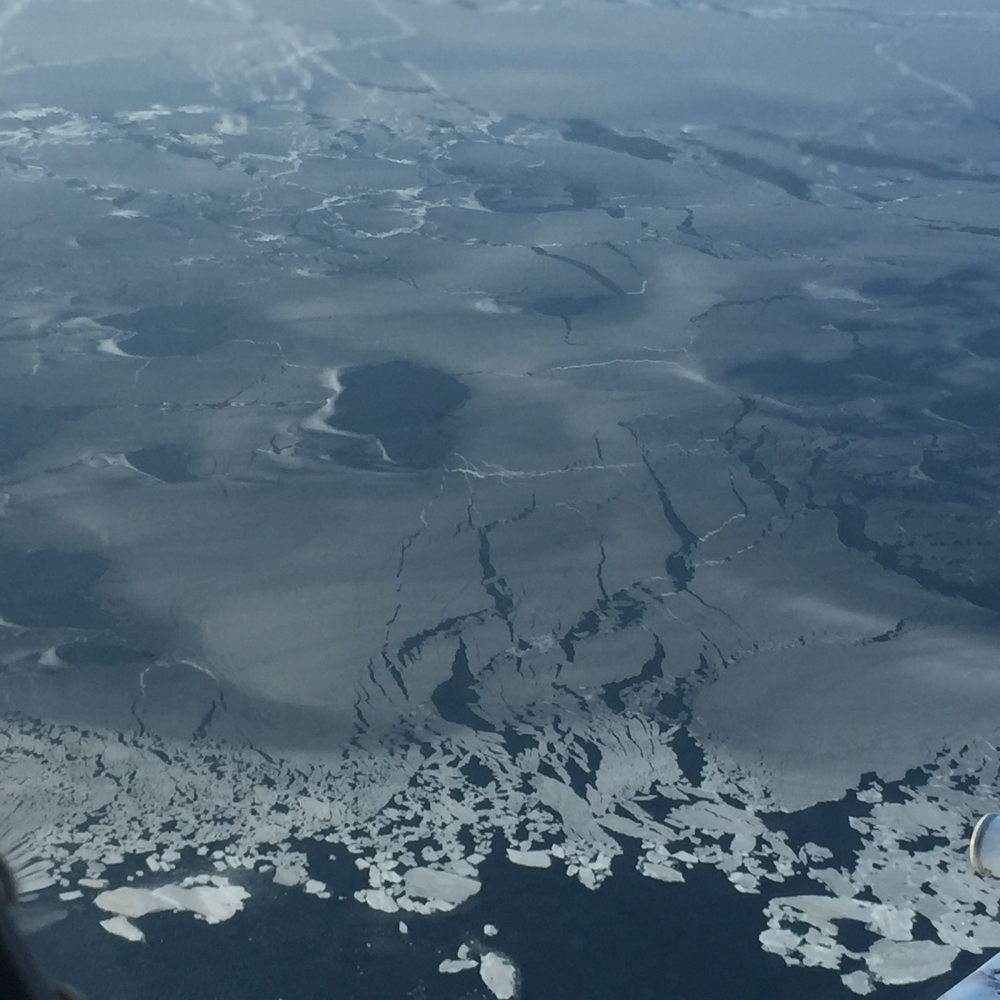 sea ice viewed from above