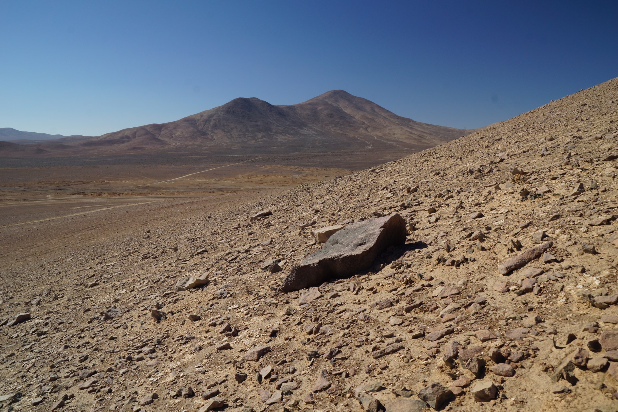 Chile's Atacama Desert 