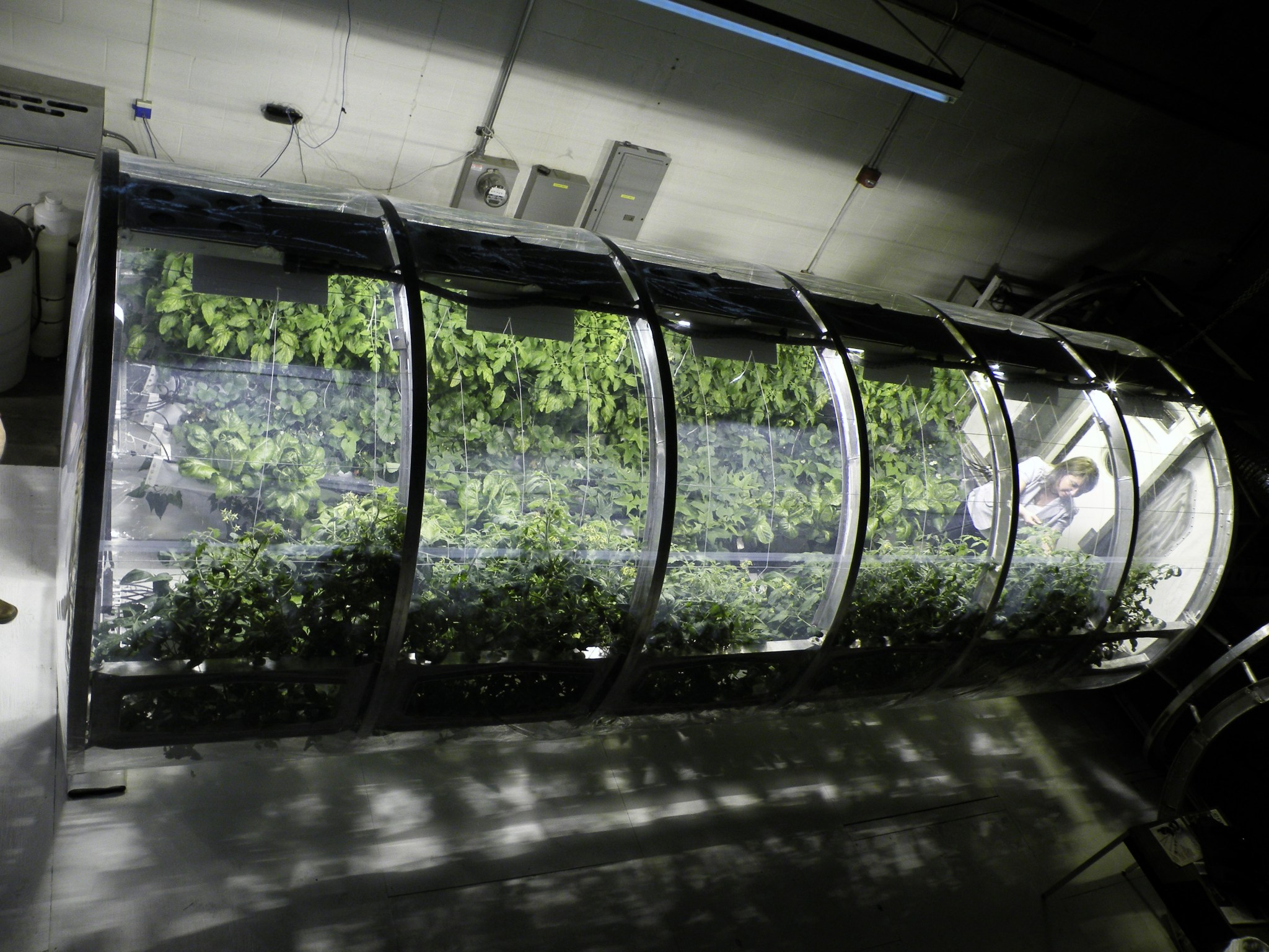 Lunar Greenhouse Chamber