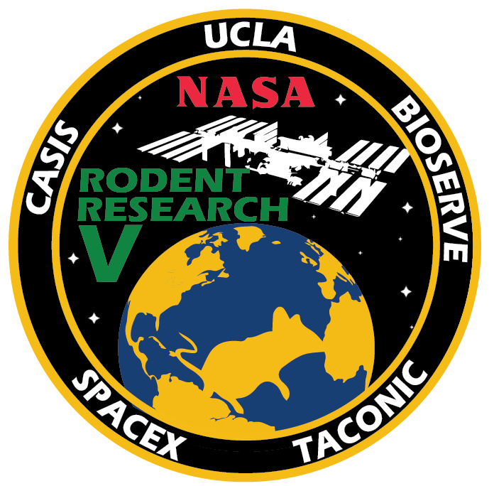 Rodent Research-5 Patch