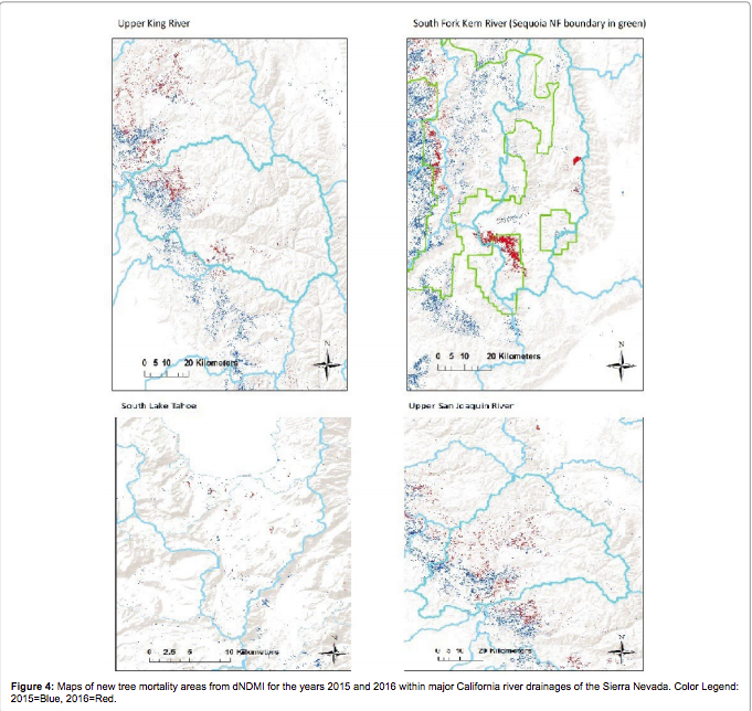 Figure 4: Maps of new tree mortality areas from dNDMI for the years 2015 and 2016 within major California river drainages of the