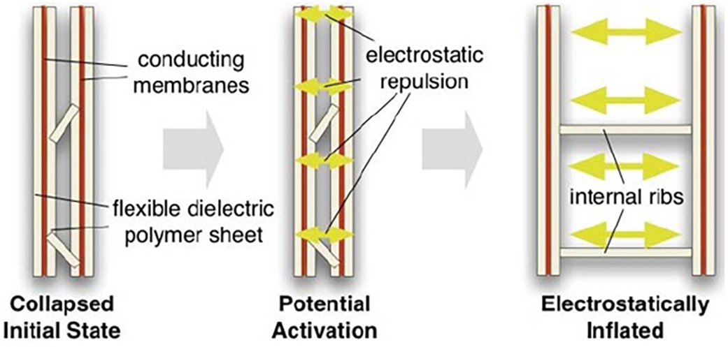 Collapsed Initial State, Potential Activation and Electrostatically Inflated.