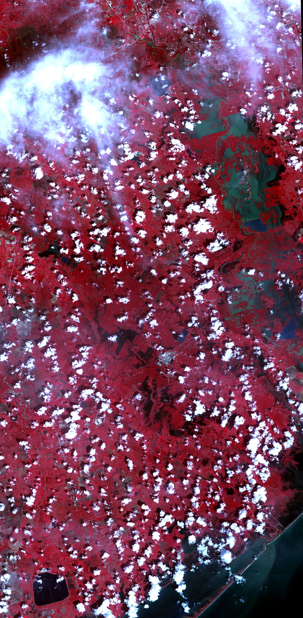 Satellite image of Harvey flooding in false color. The image is dark red on land with flooded areas in blues and greens.