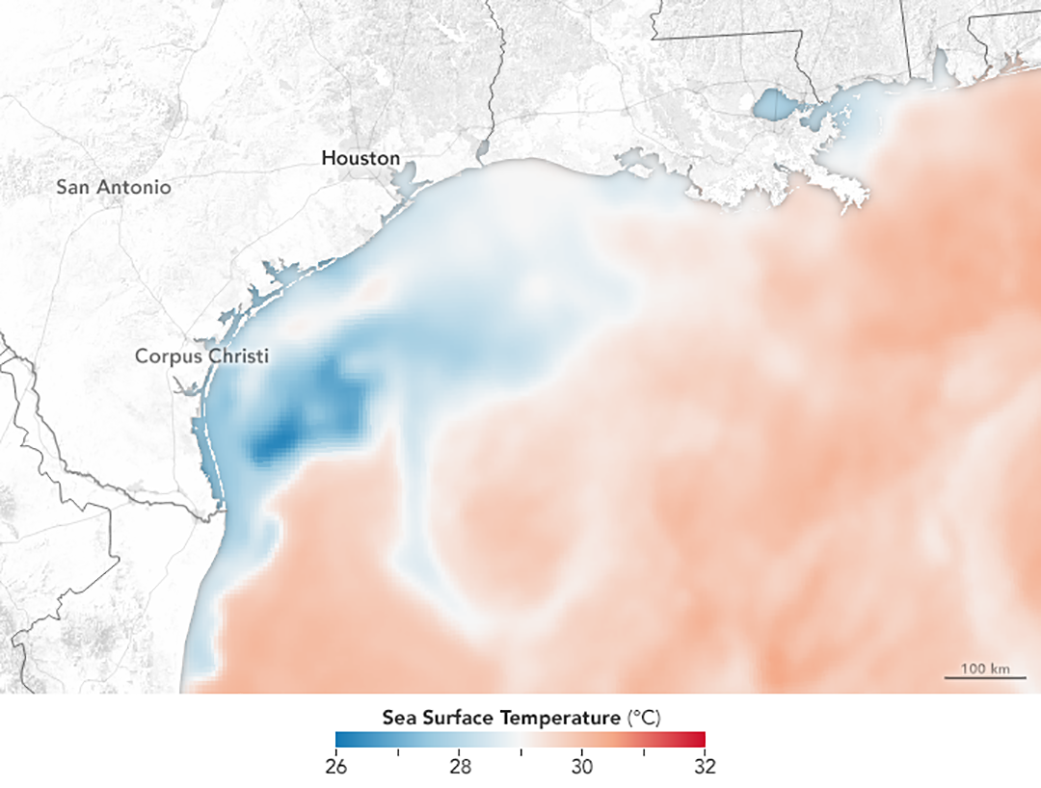 Data visualization of sea surface temperature in the Gulf of Mexico. The ocean is light red with swirls of white. As the water gets closer to the coast, it fades to a lighter white and then blue.