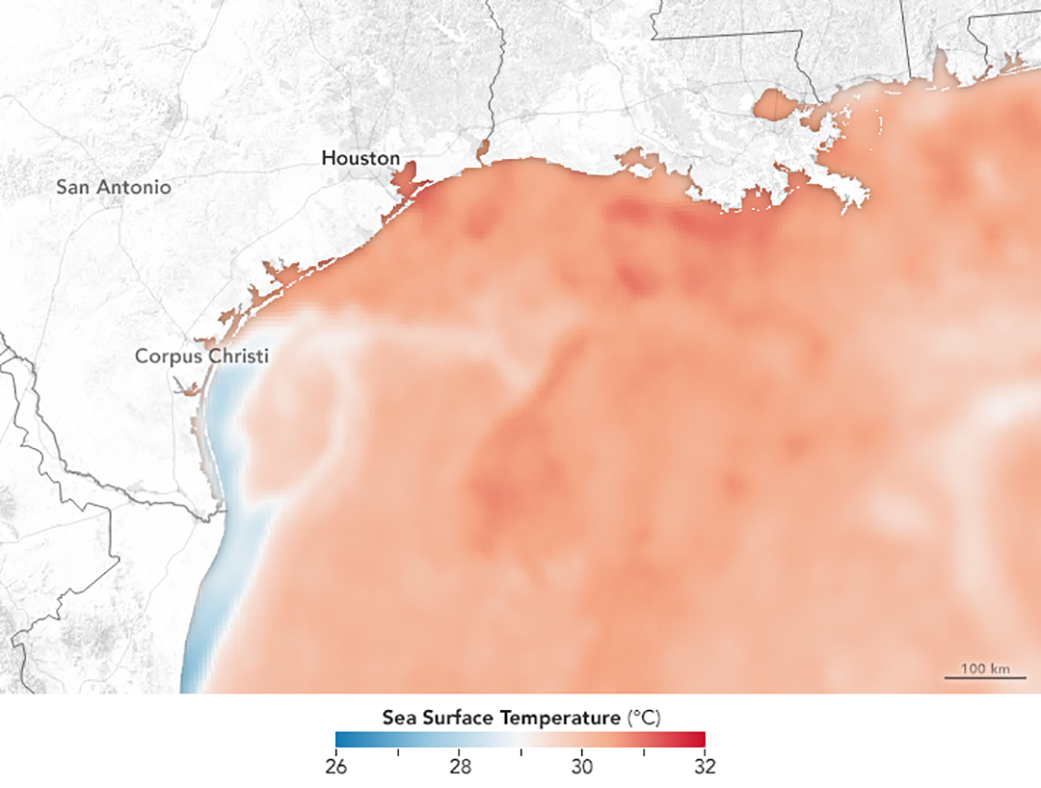 Data visualization of sea surface temperature in the Gulf of Mexico. The ocean is light red with a small sliver of blue along the coast near Corpus Christi.