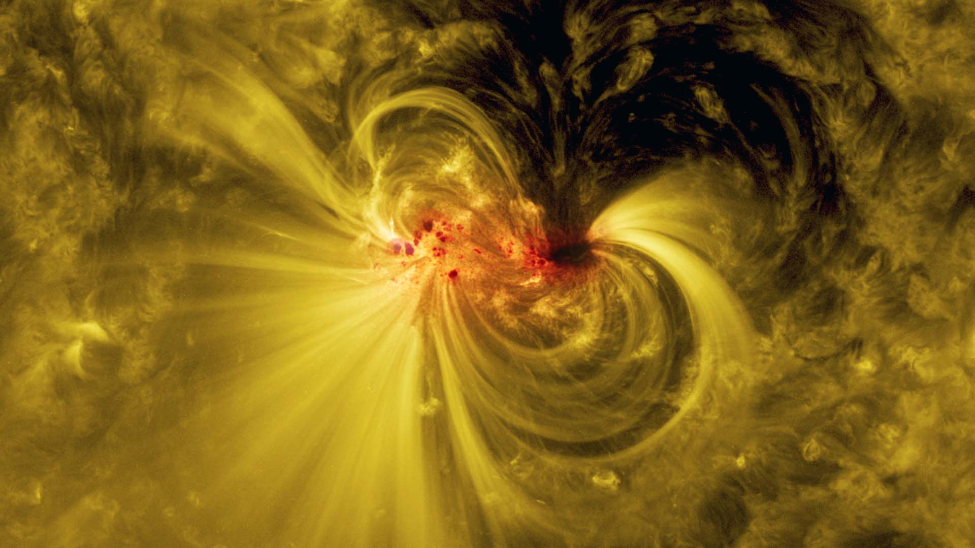 An image of a sunspot on the Sun's surface, appearing like an area of black and red spots connected by swirls of yellow material that almost form a figure-8. The Sun's surface is covered in swirling material from bright yellow to dark yellow and black.