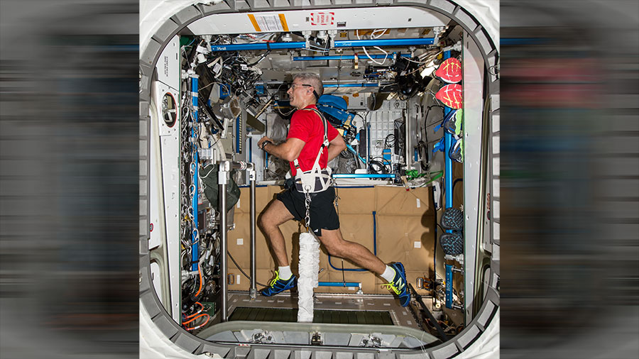 NASA astronaut Mark Vande Hei