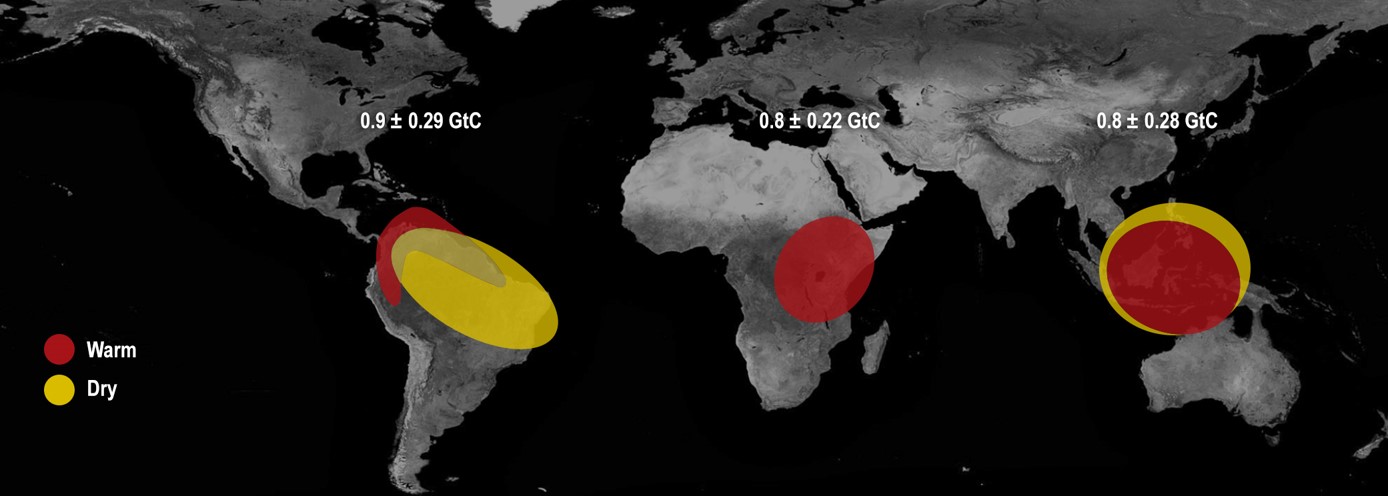 The last El Nino in 2015-16 impacted the amount of carbon dioxide that Earth’s tropical regions released into the atmosphere