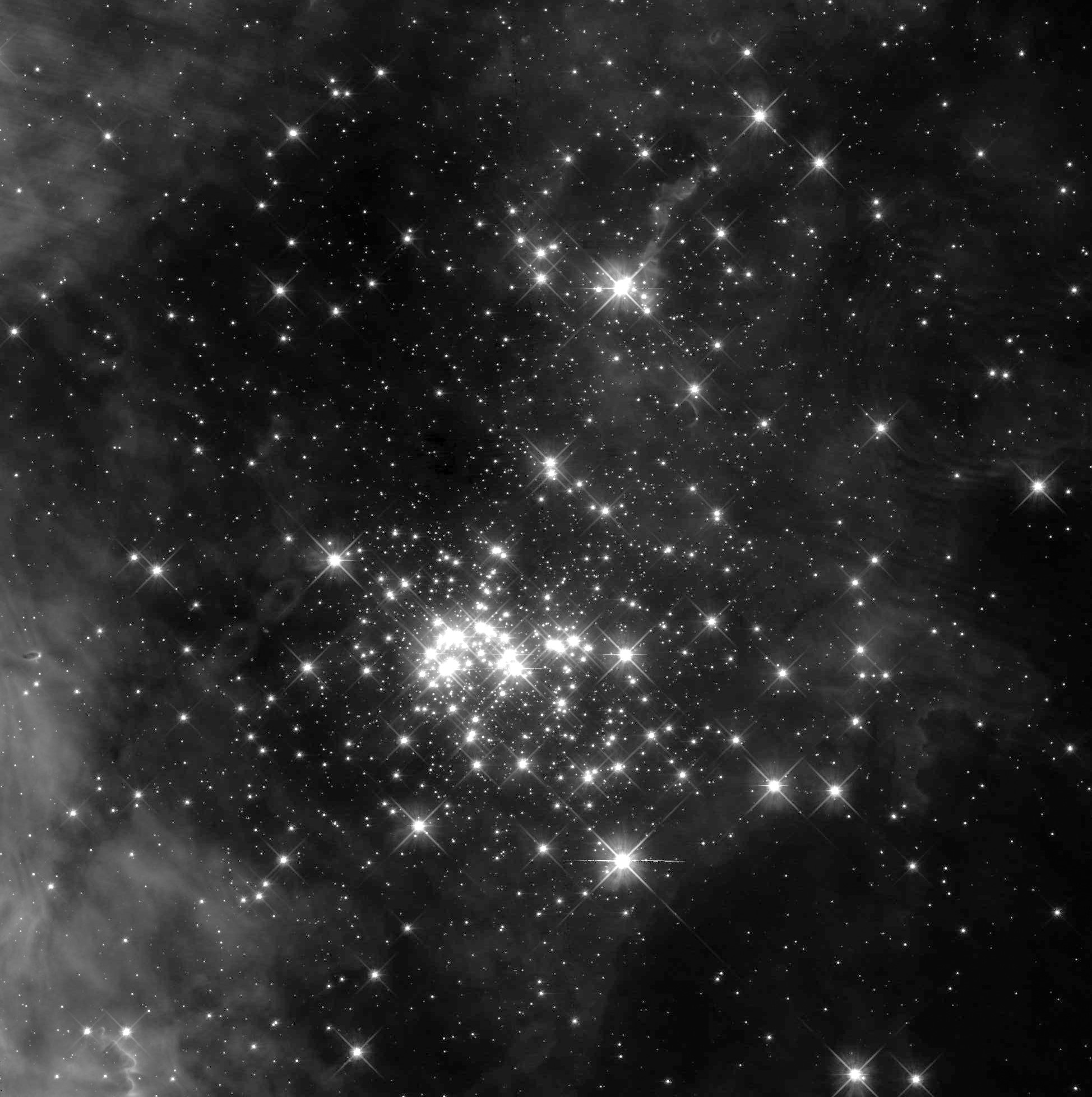 Black and white Hubble image of the Westerlund cluster