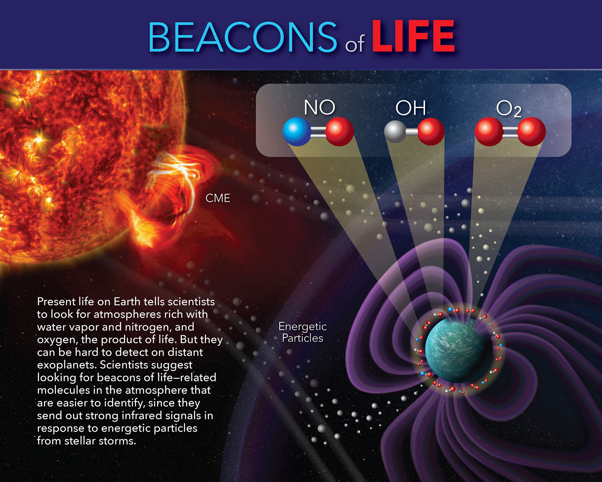 Beacons of Life infographic