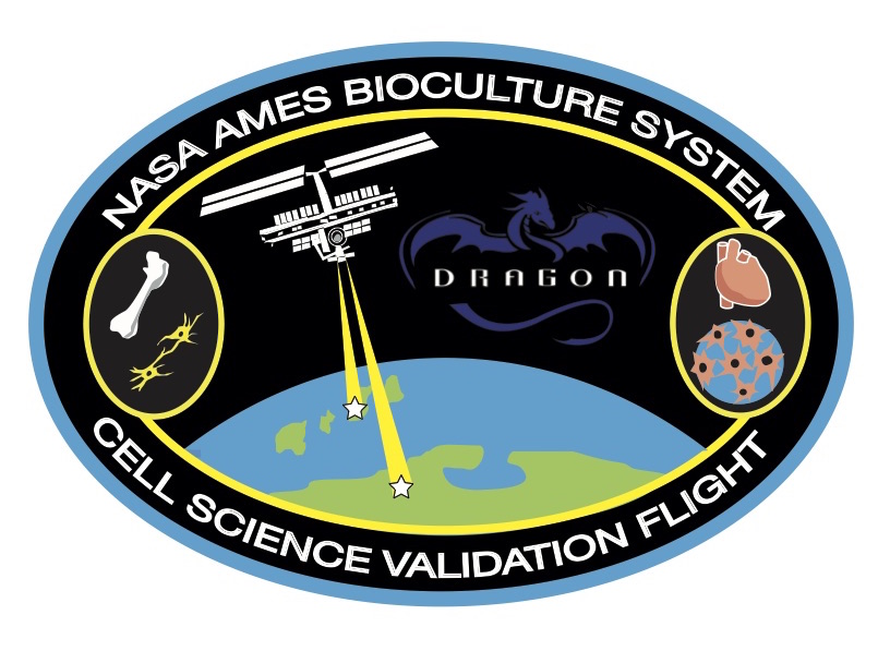 Cell Science Validation (SpaceX-13)