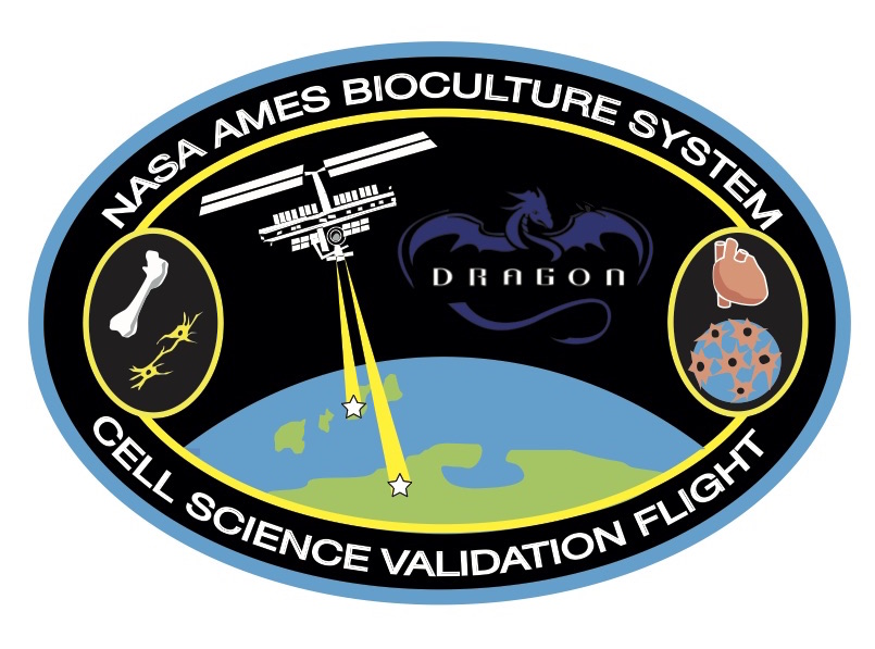 Cell Science Validation (SpaceX-13)